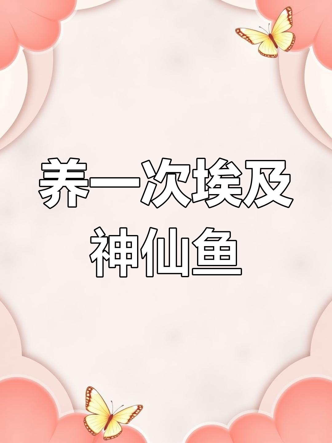 埃及神仙鱼与七彩神仙鱼的完美搭配,打造最美鱼缸