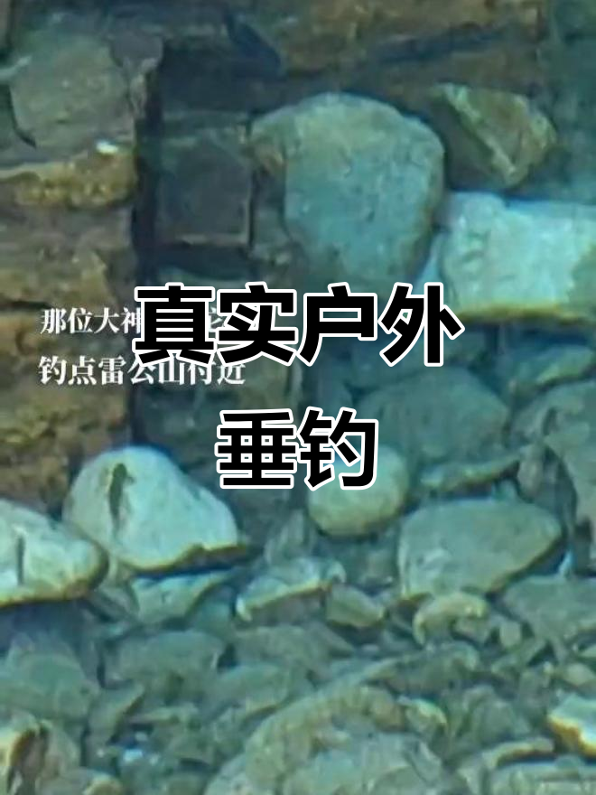 野外钓鱼的真实体验,感受大自然的魅力
