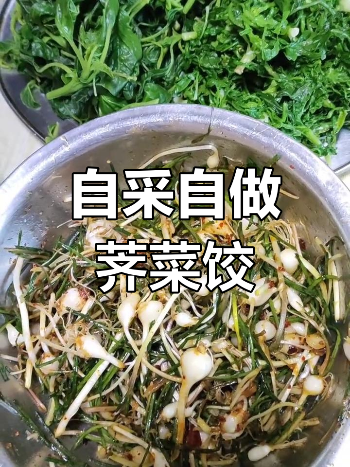 采野菜累并快乐着,晚上吃自己亲手摘的荠菜馅儿饺子