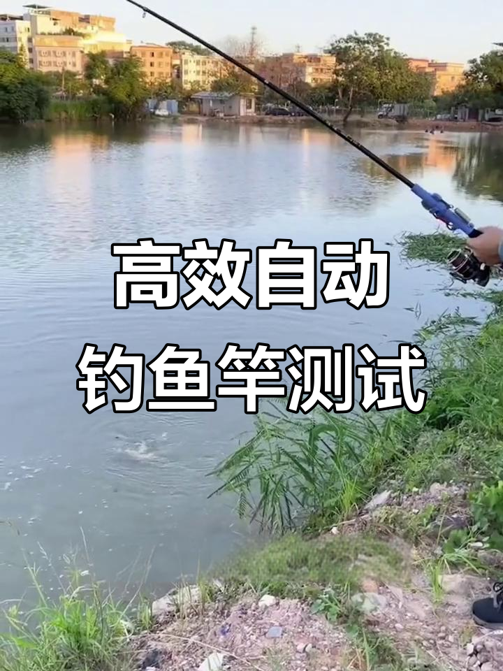 自动钓鱼竿实测:弹簧原理轻松中鱼,大板鲫也能轻易搞定