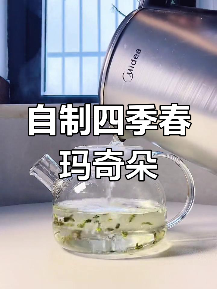四季春玛奇朵自制教程,轻松打造独特奶茶风味