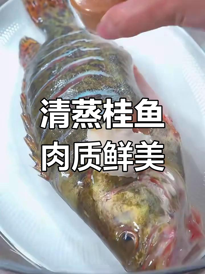 清蒸桂鱼,鲜嫩多汁的完美做法
