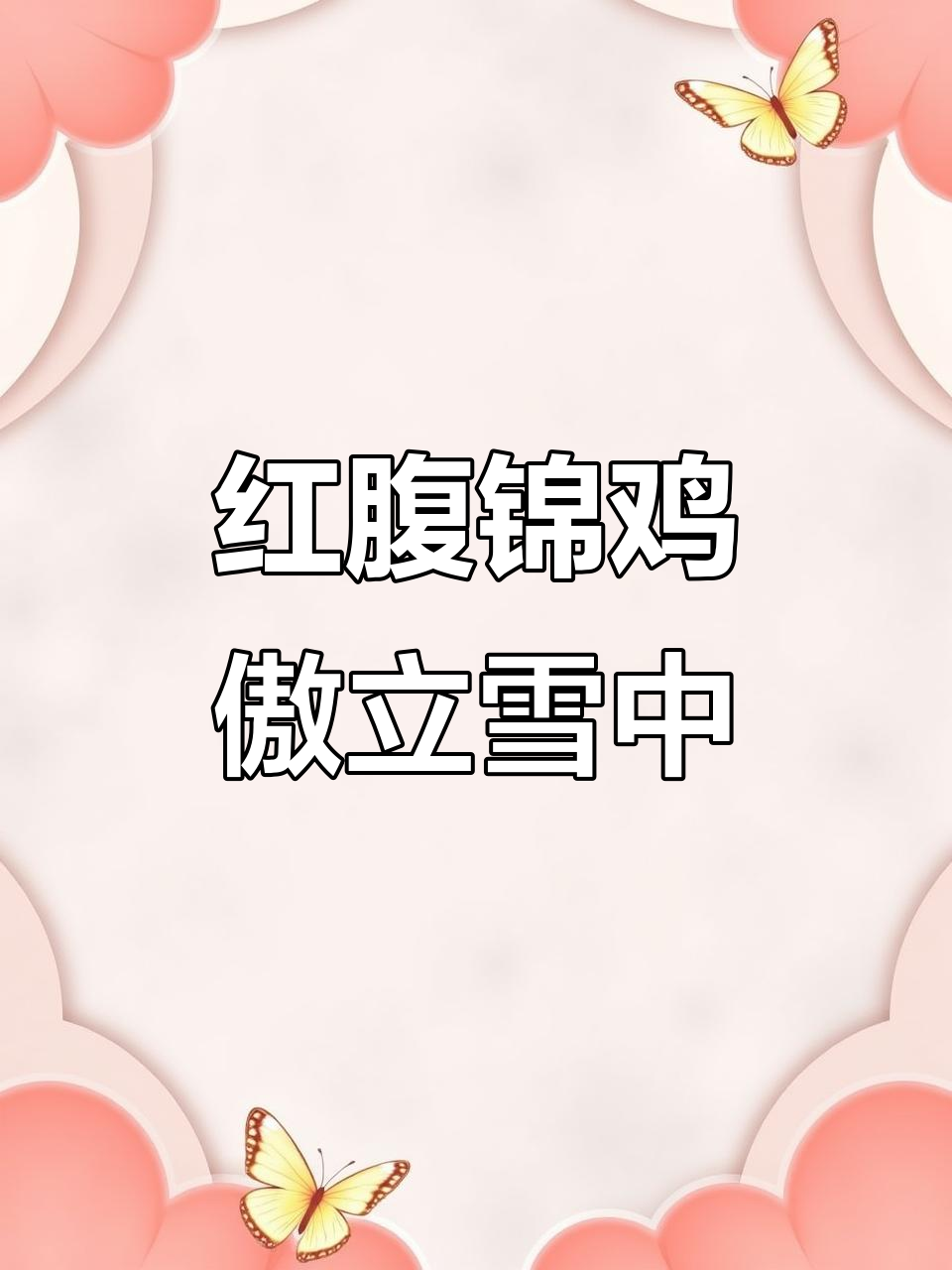 山西临汾雪中现身红腹锦鸡,如国画般美丽