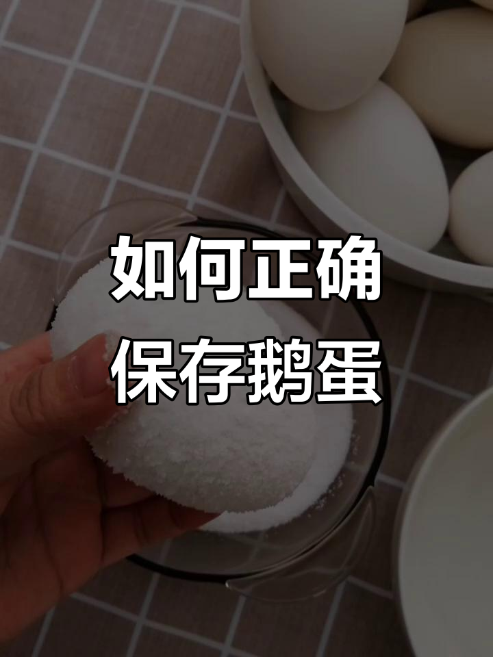 鹅蛋保存的最佳方法,轻松延长新鲜度