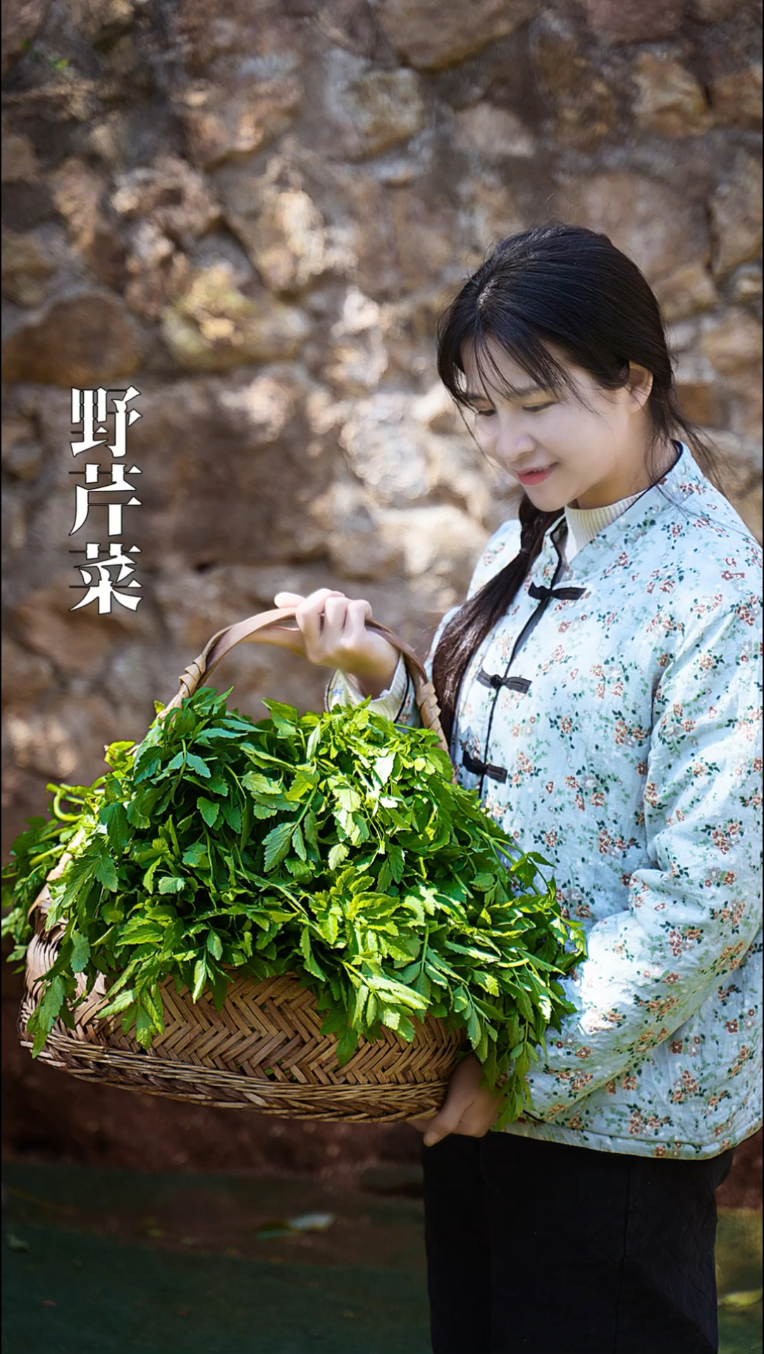 野生水芹菜的简单吃法