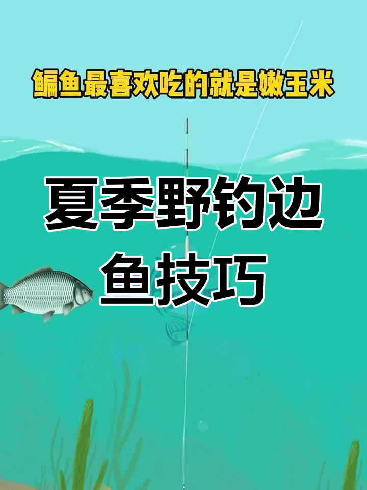 夏季钓鳊鱼技巧大揭秘:选位、打窝与钓饵全攻略
