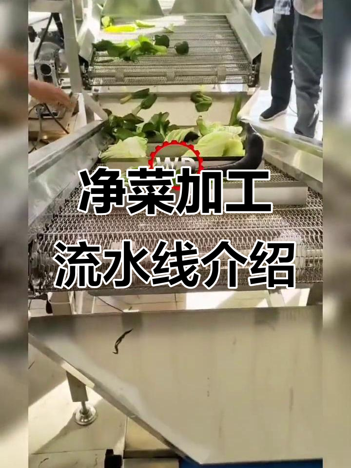 净菜加工流水线全解析:清洗、风干、切菜一步到位