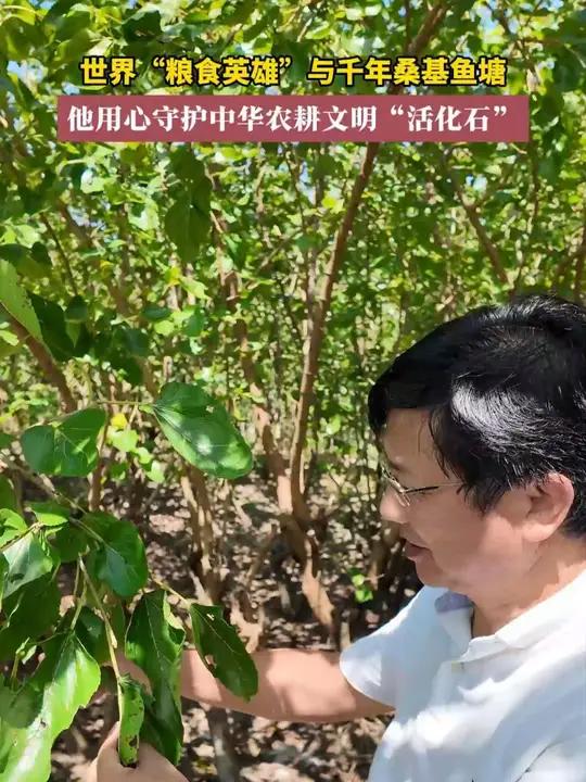 世界“粮食英雄”与千年桑基鱼塘,他用心守护中华农耕文明“活化石”!我的学校名片 浙江大学 