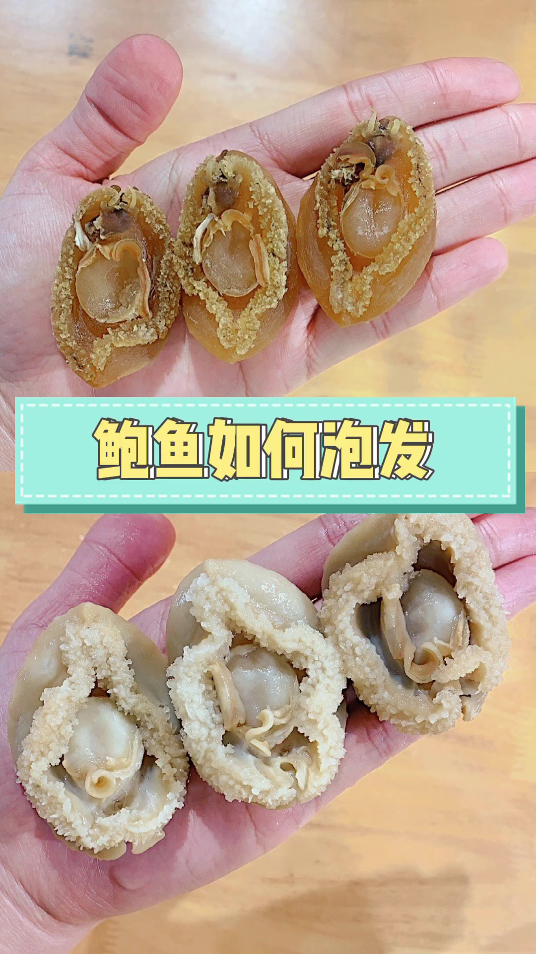 这样泡发鲍鱼,Q弹营养又好吃～