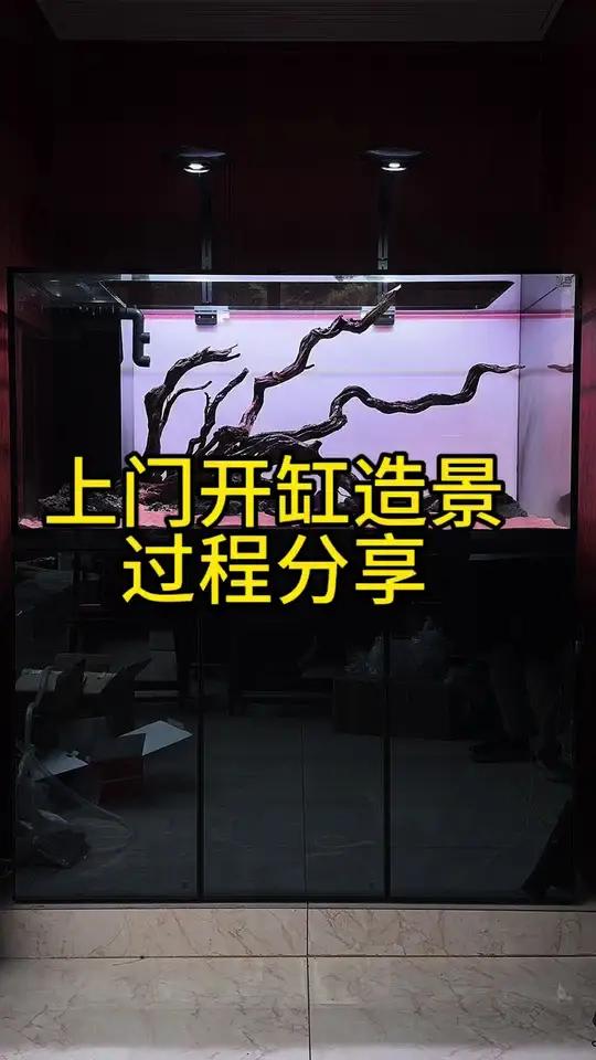 上门开缸造景过程分享 鱼缸造景 南美缸 鱼缸里的大自然