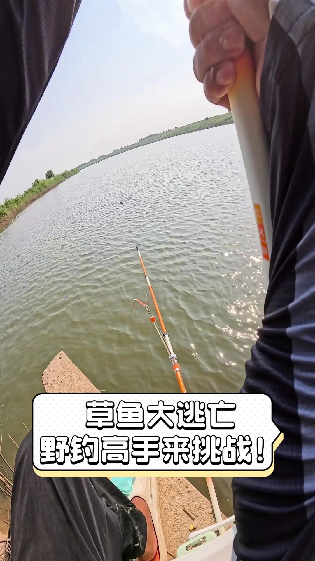 草鱼大逃亡,野钓高手来挑战!