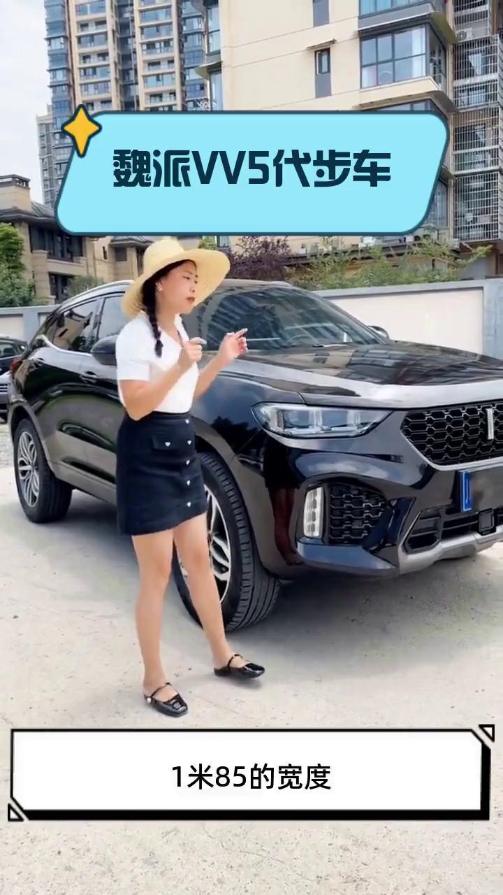魏派VV5代步车
