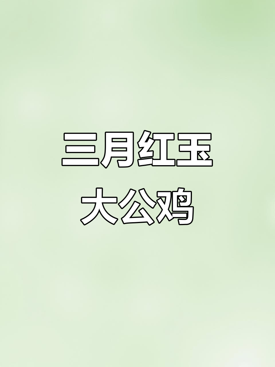 红玉三八零大公鸡，三个月长到十八斤，疫苗齐全放心养