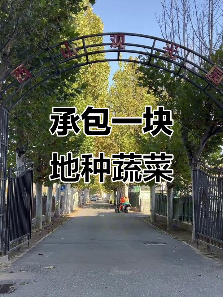 海淀田村永定河畔,打造自己的菜园子