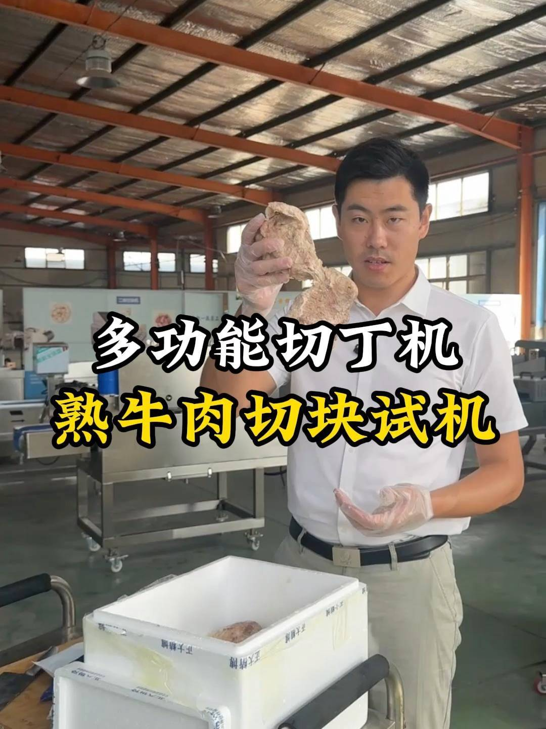 多功能切丁机熟牛肉切块