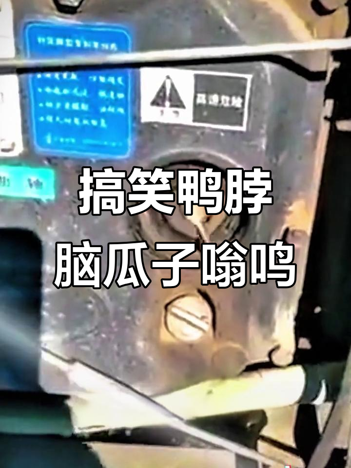 这只鸭脖太搞笑了，脑袋嗡嗡响笑不停