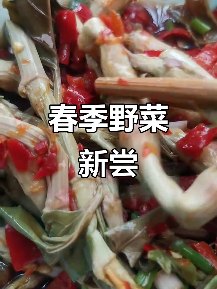 春天野菜盛开,酸汤杆嫩味十足,贵州独有美味!