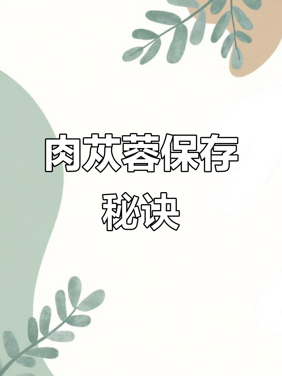 肉苁蓉保存有诀窍，防潮避湿是关键！