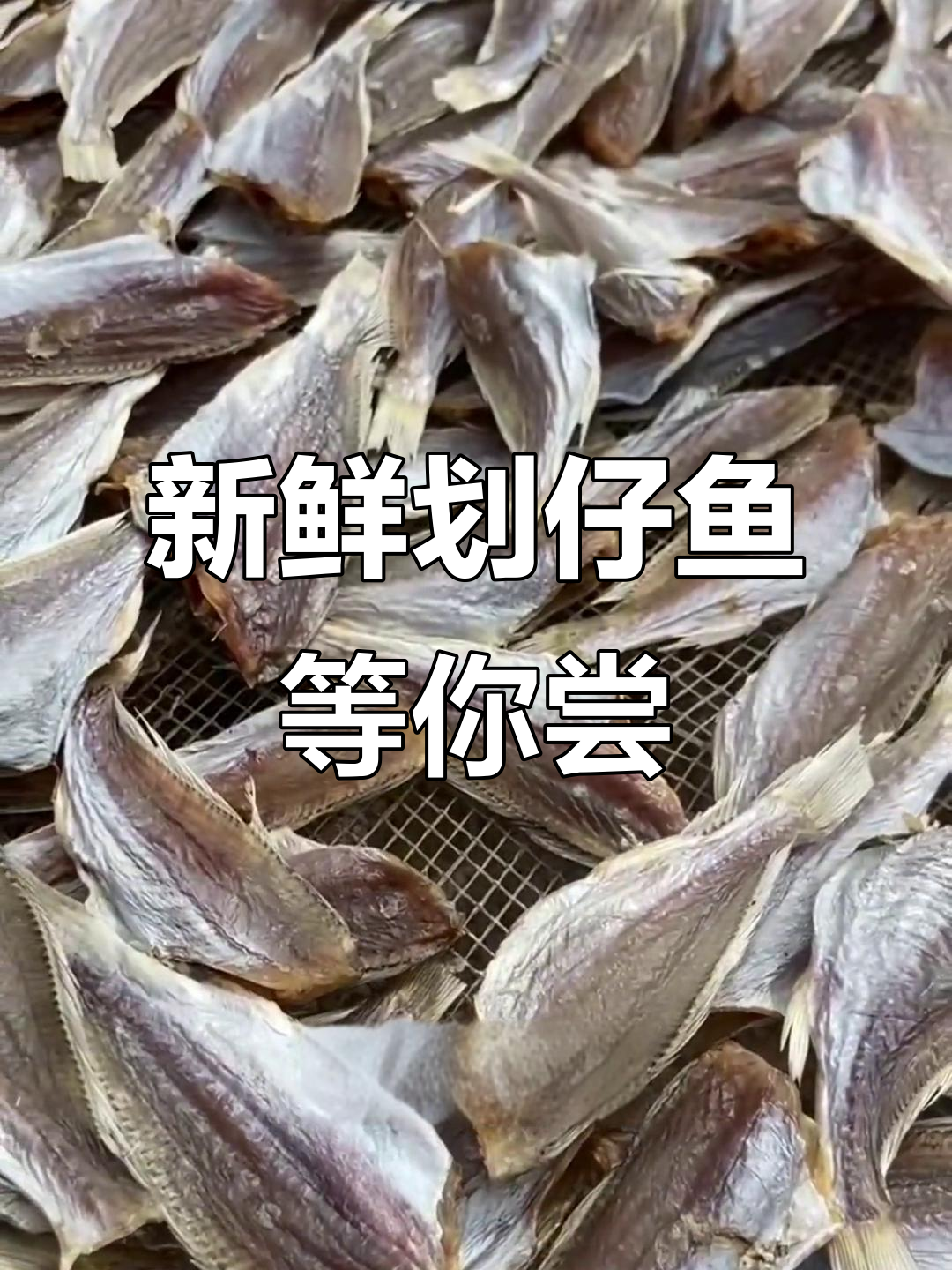 想吃划仔鱼的朋友赶紧入手,错过就没有啦!