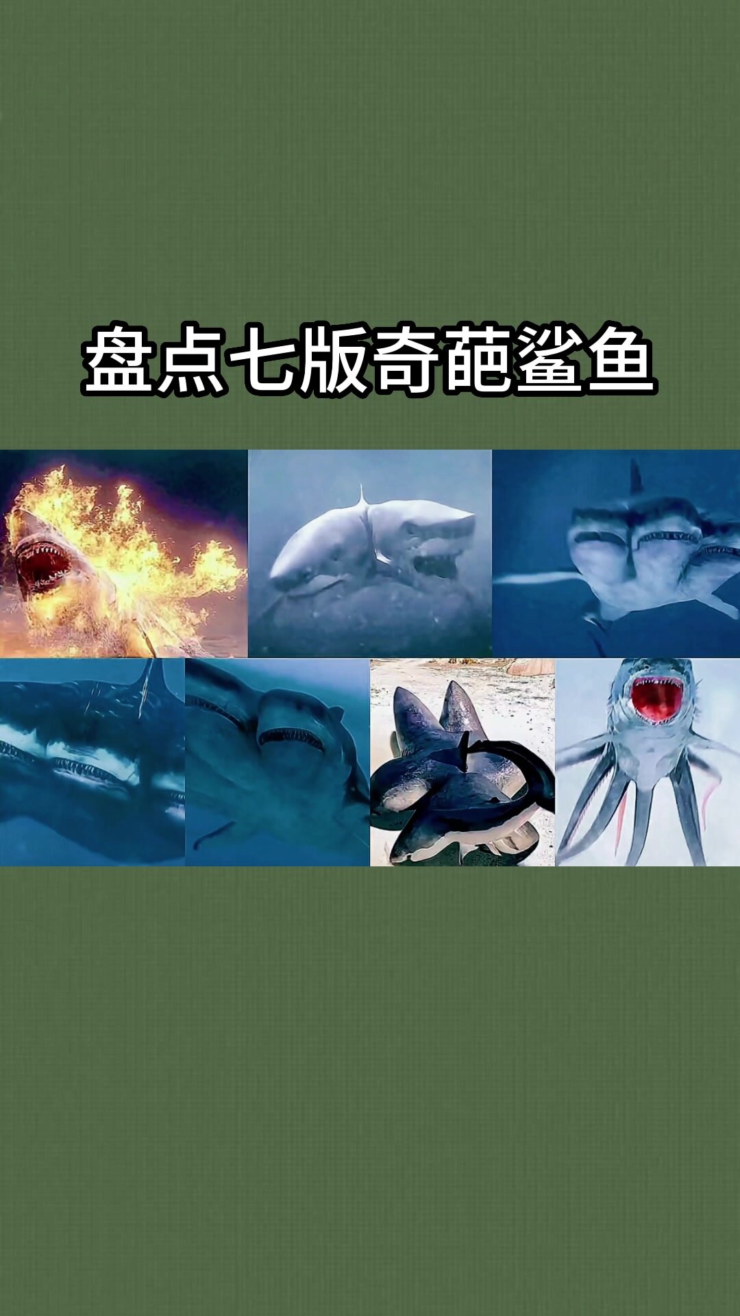 盘点这七版鲨鱼 你觉得哪个最奇葩