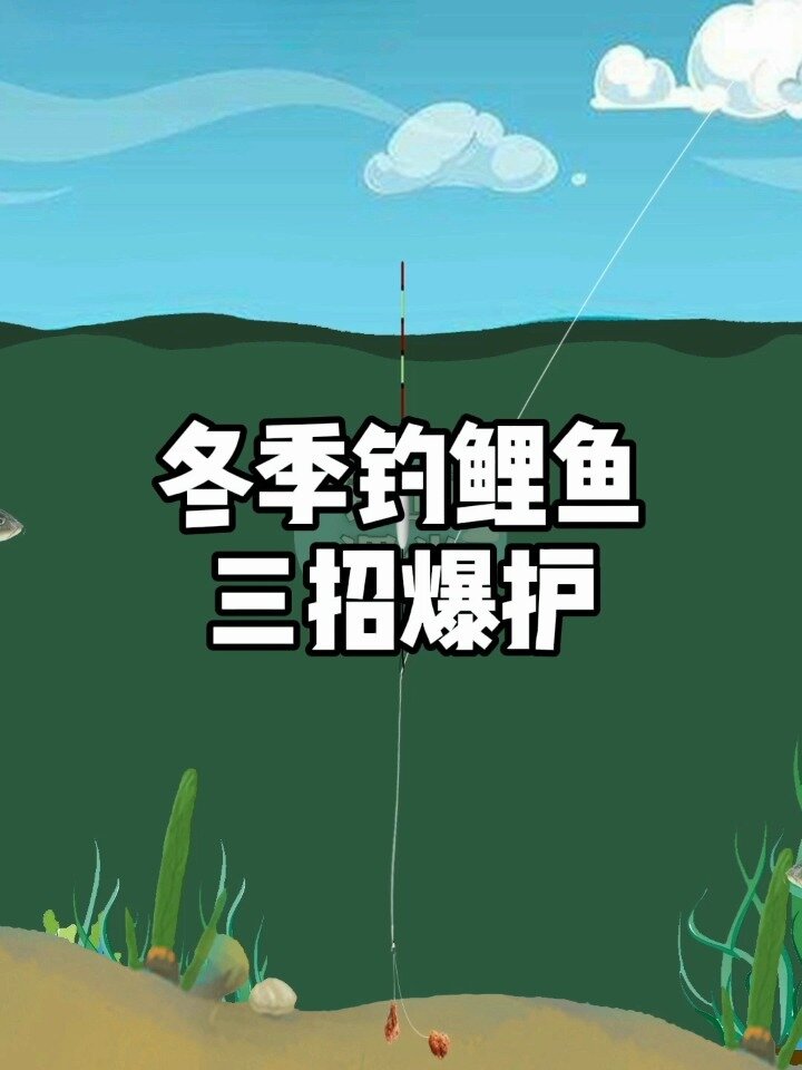 冬季钓鲤鱼三招爆护
