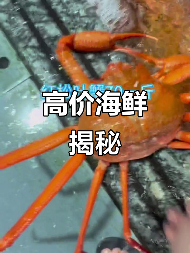 8月澳龙价格飙升,进口海鲜为何贵?市场渠道是关键!