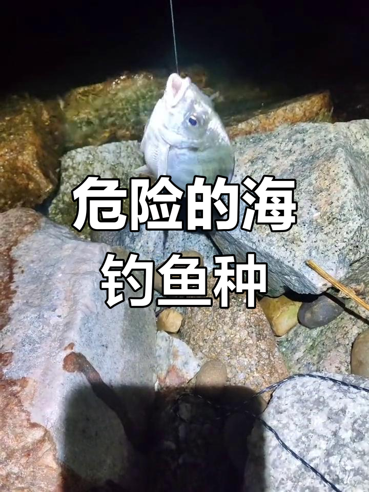 海钓时必避开的五种有毒海鱼