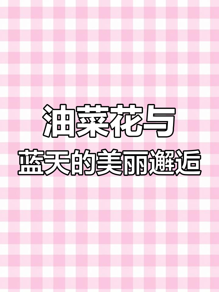 蓝天白云下的油菜花海,美得让人心醉