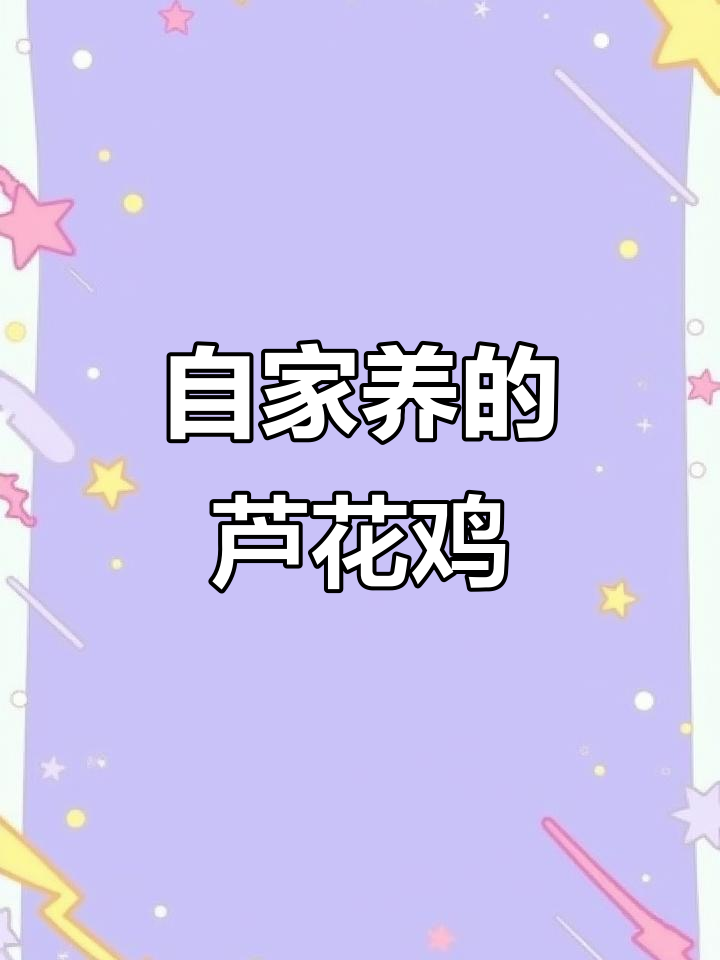 芦花鸡养殖:纯粮食喂养,绿壳蛋吃不完