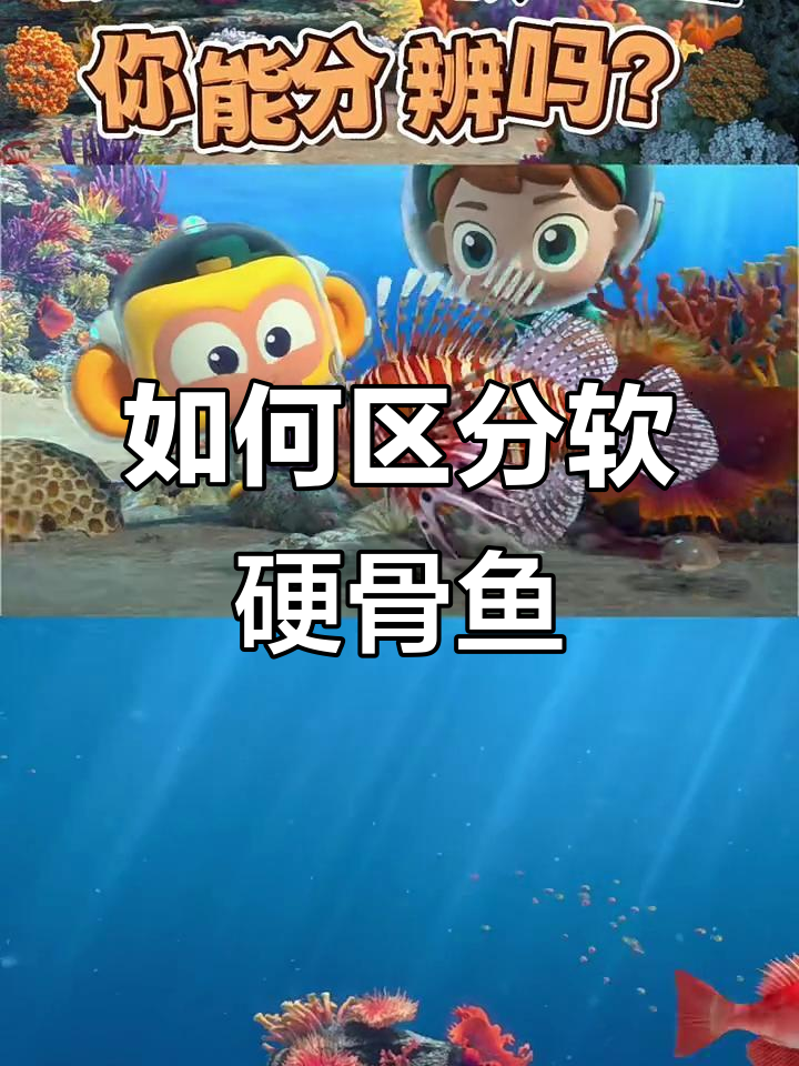 硬骨鱼和软骨鱼的鳃盖区别,如何分辨?