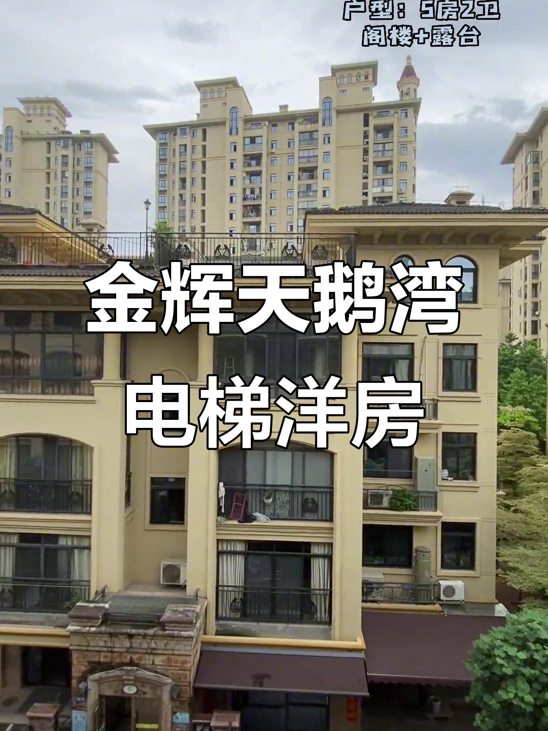 浦上大道金辉天鹅湾电梯洋房,复式215平带露台,装修豪华