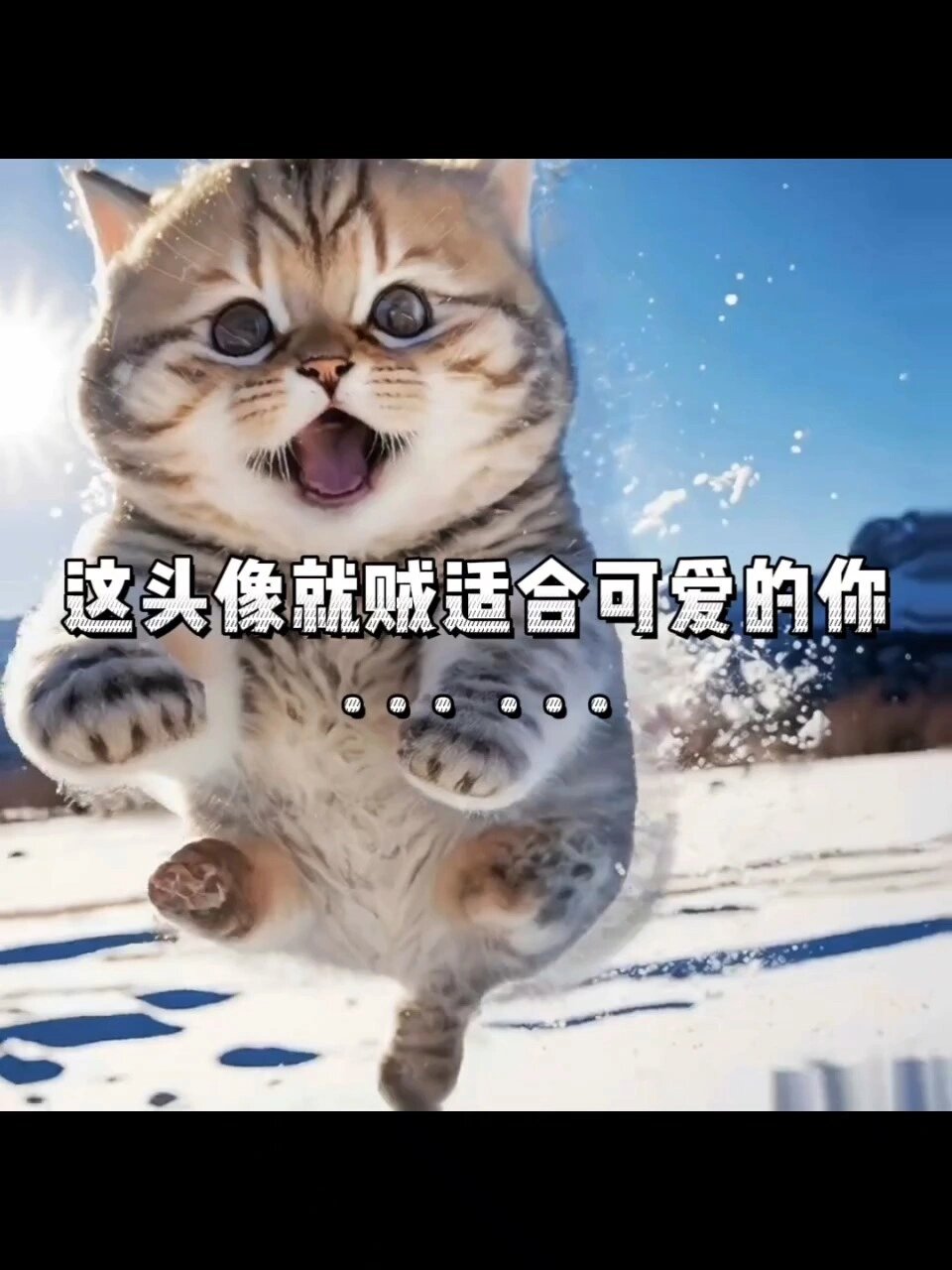 适合你的可爱猫咪头像