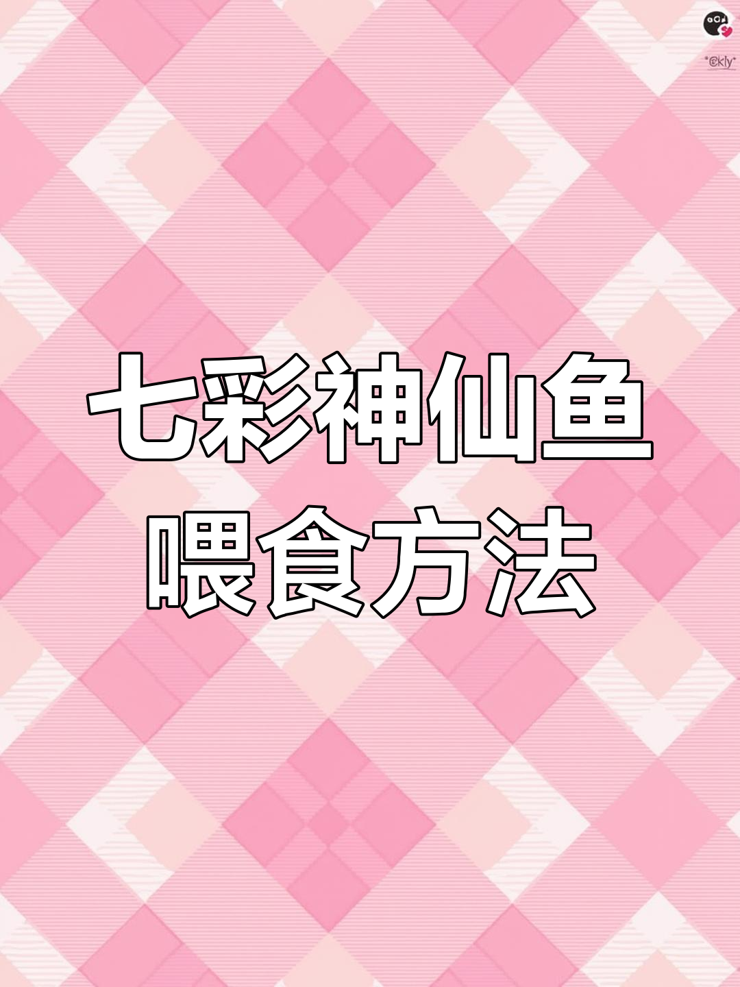 七彩神仙鱼生态缸喂食技巧,汉堡与干饲料搭配喂养