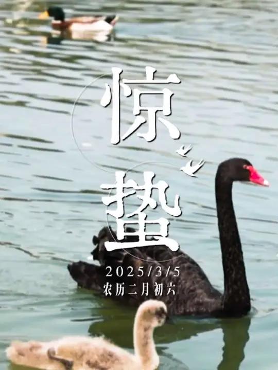 惊蛰雷笋香,酱油韵味长。湖南电视剧频道携手长康红烧酱油,与您一起品味生活,四季长康!