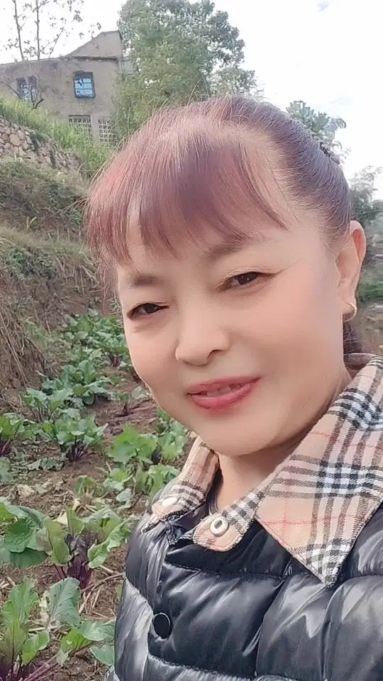 农妇采摘红菜苔展示乡村菜园日常画面