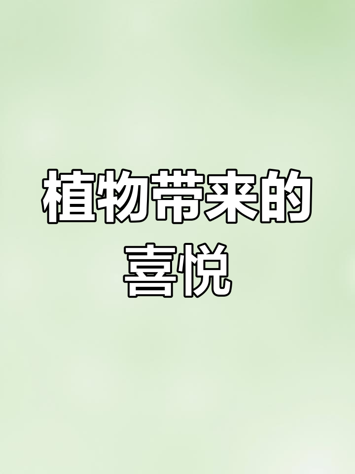 多肉绽放,心情随之明媚。每天都有惊喜等待发现!