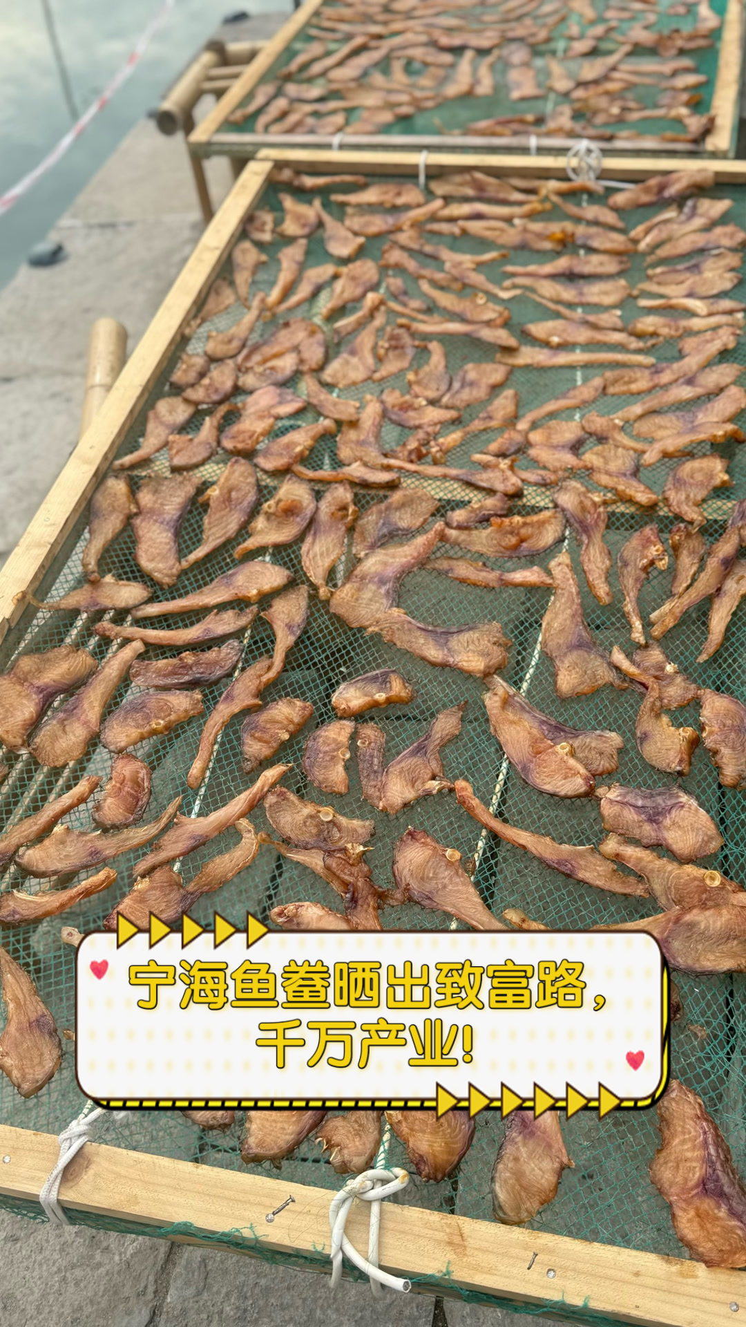 宁海鱼鲞晒出致富路,千万产业!