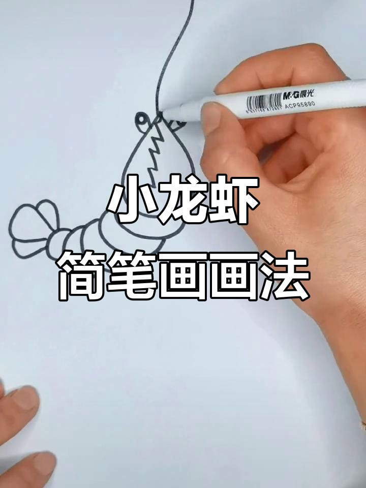 儿童简笔画:小龙虾轻松学