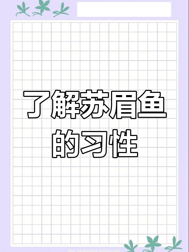 苏眉鱼:热带巨型鱼类揭秘,温和肉食性