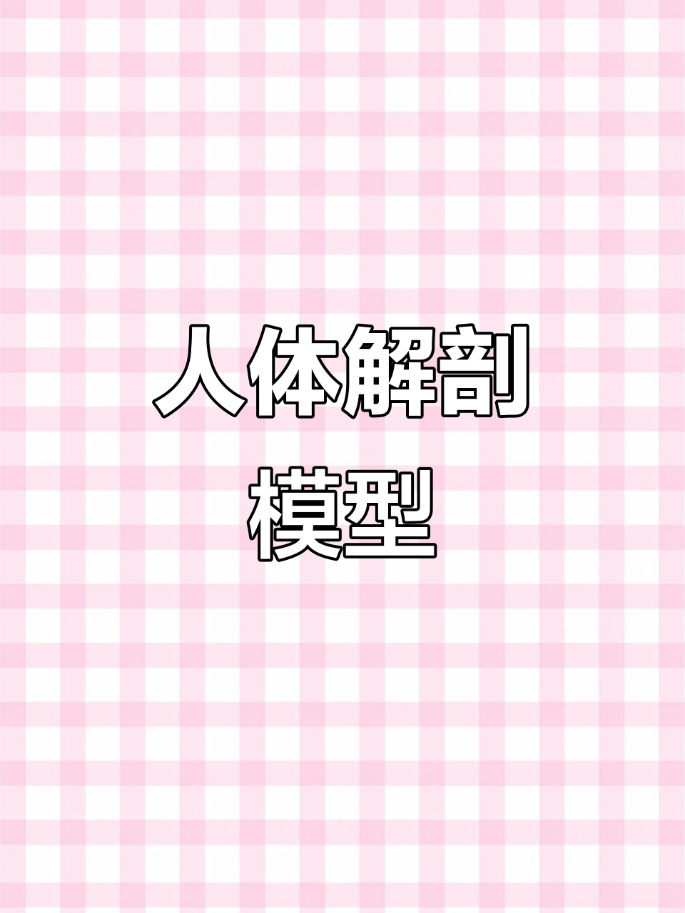 人体骨骼与肌肉解剖模型,男女通用,精细展示器官结构