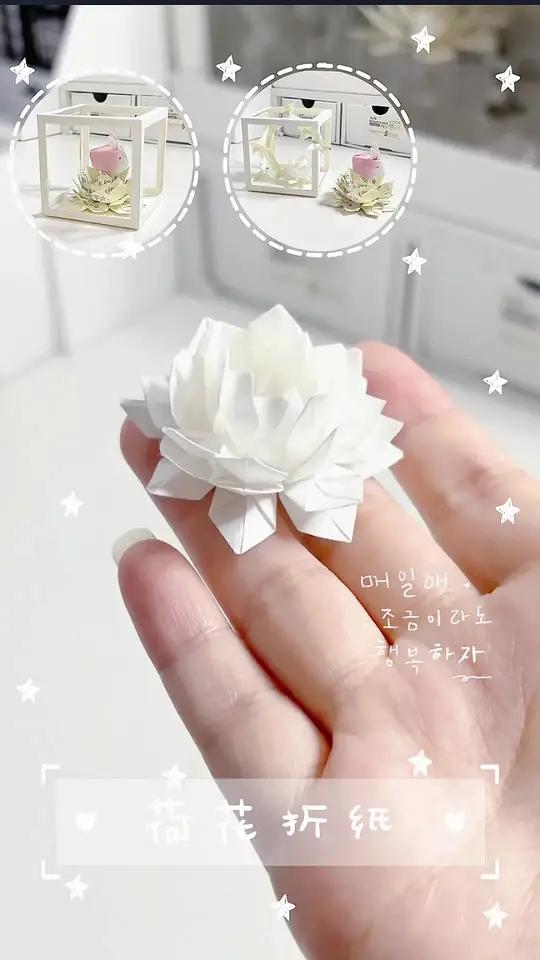 自制荷花折纸