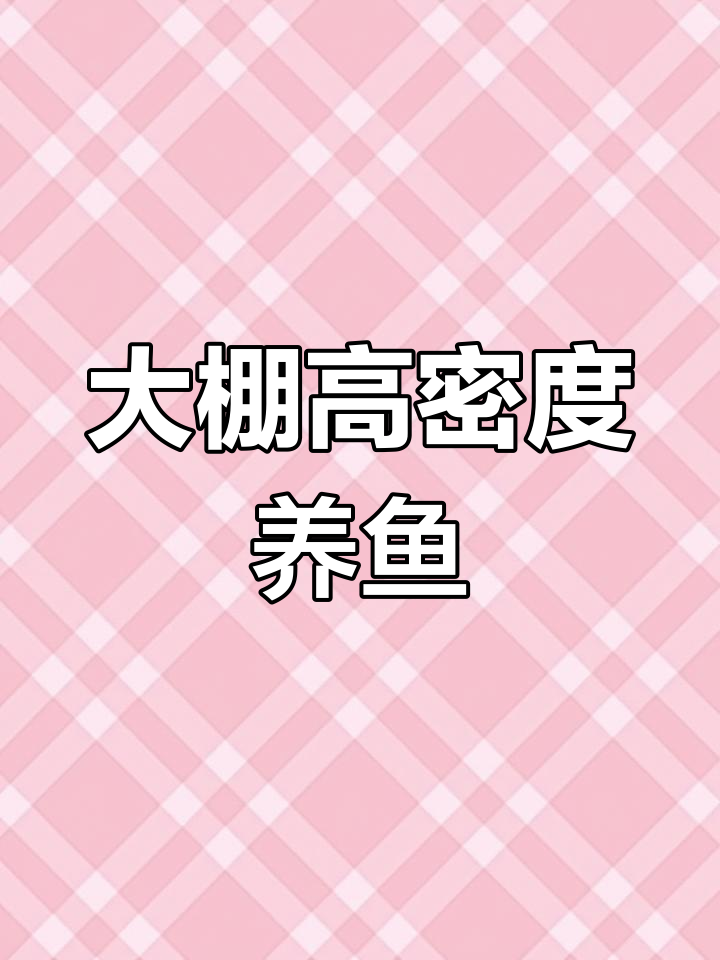 高密度养殖新突破:大棚养鱼实现内循环