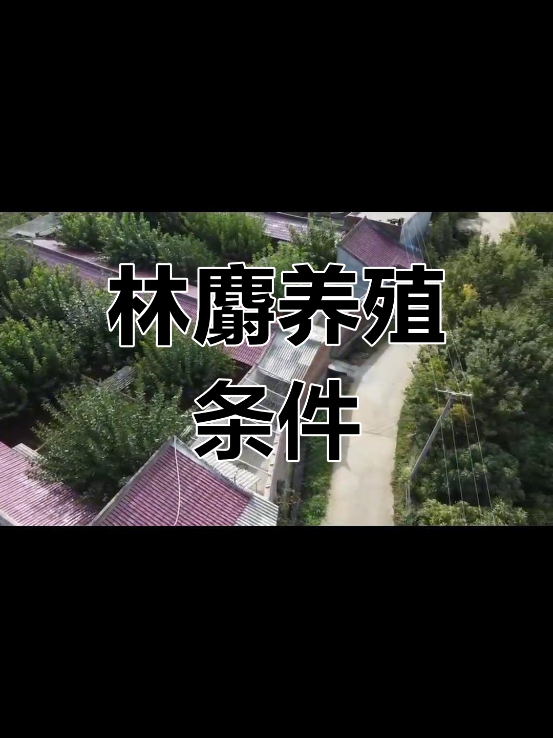 林麝养殖场建设与管理要求