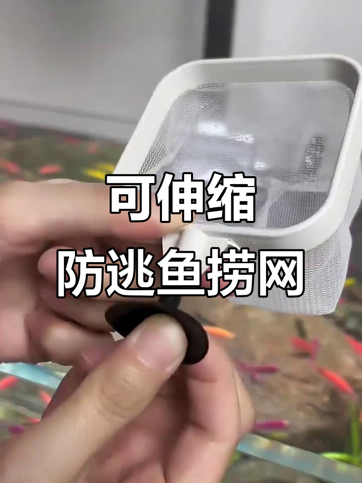 升级版3D小鱼捞网,伸缩设计不跑鱼,轻松捕捉中小型鱼类