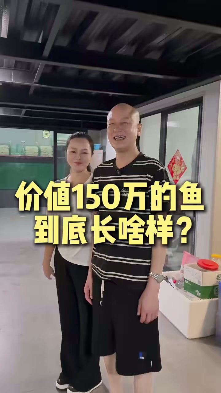 带你们看看150万的鱼到底长啥样