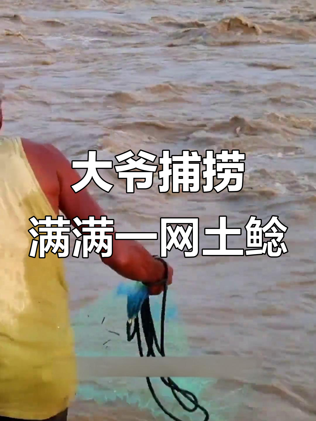 90岁大爷撒网捕鱼，满载而归全是土鲶鱼