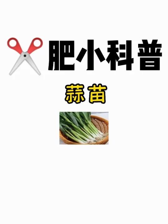 肥小科普「蒜苗」