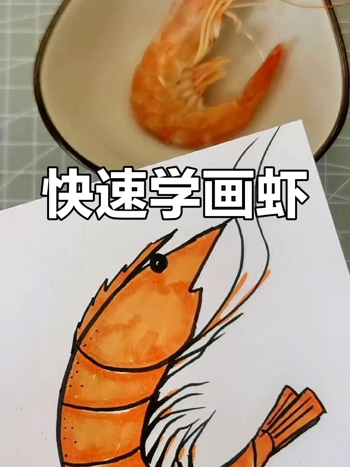 一分钟学会画虾,简单又美味