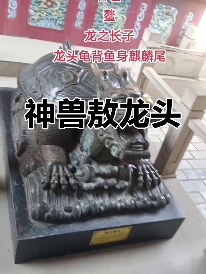 龙头龟背鱼身,神秘神兽敖