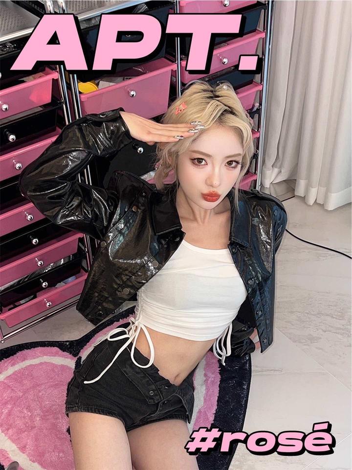 被APT狠狠洗脑惹～rose朴彩英